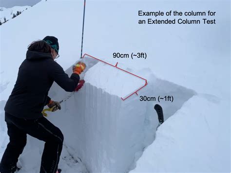 avalanche compression test results|Interpreting Stability Tests .